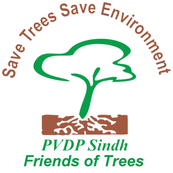 PVDP Logo